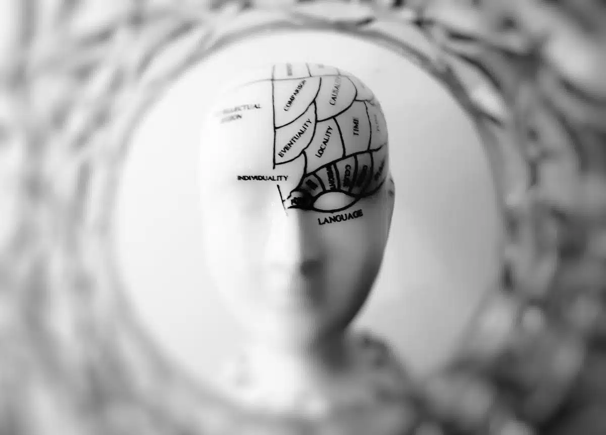 senior brain
