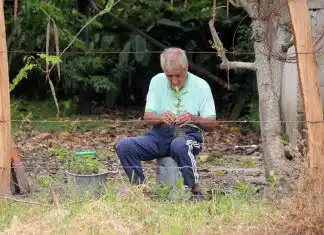 Conseils aux seniors pour bien choisir leur service de bricolage à domicile
